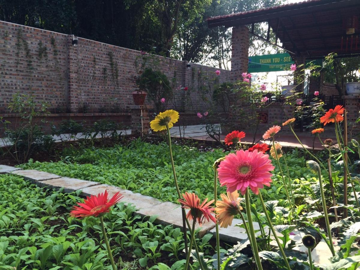 Tam Coc Craft Homestay Ninh Bình Szoba fotó